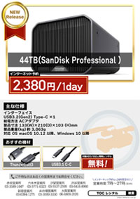 44TB(SanDisk Professional G-RAID MIRROR)
