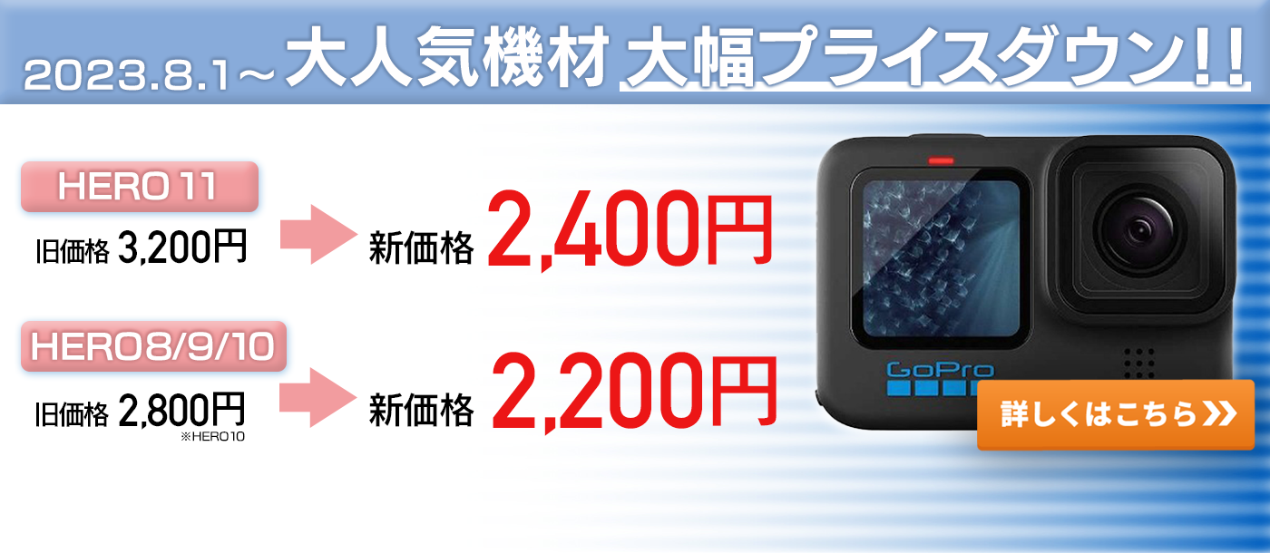 pricedown3
