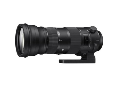 SIGMA 150-600mm F5-6.3 DG OS HSM Sports CanonEFマウント
