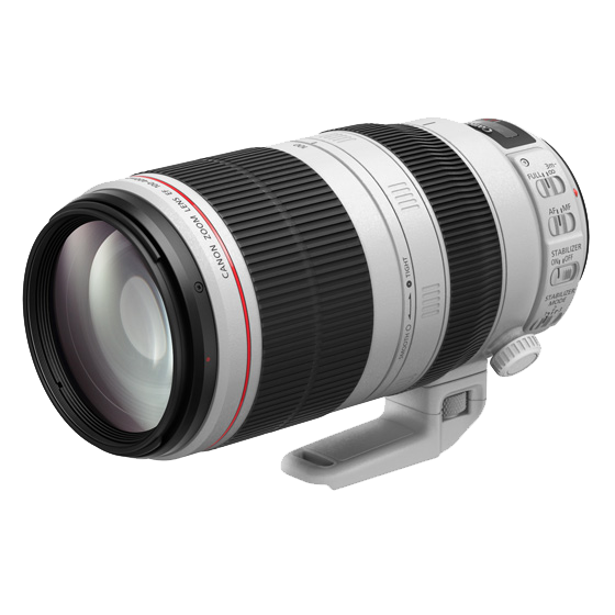 EF100-400mm F4.5-5.6L IS II USM