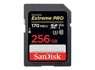 SanDisk/ExtremePRO 256GB